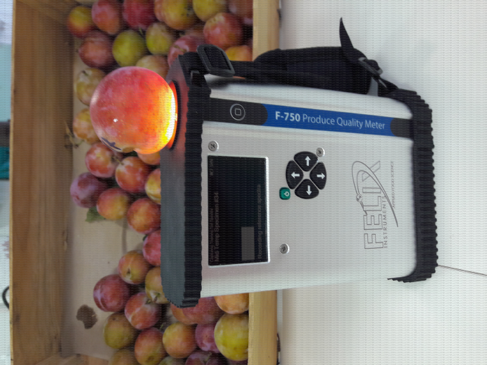 Spectromètre NIR portatif, outil non destructif pour mesurer la qualité de la prune